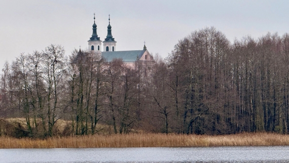 Trzcina - wyzwania i możliwości