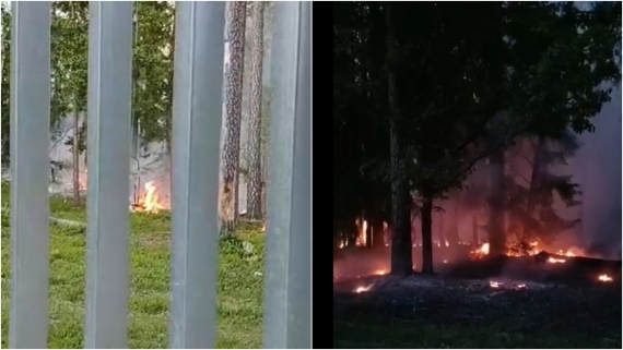 Pożar w Puszczy Białowieskiej - palił się las po stronie białoruskiej