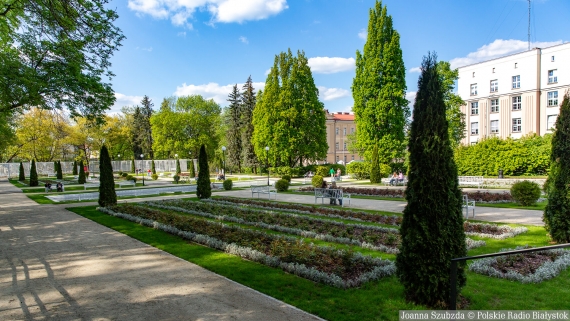 Różanka w Parku Planty w Białymstoku, fot. Joanna Szubzda