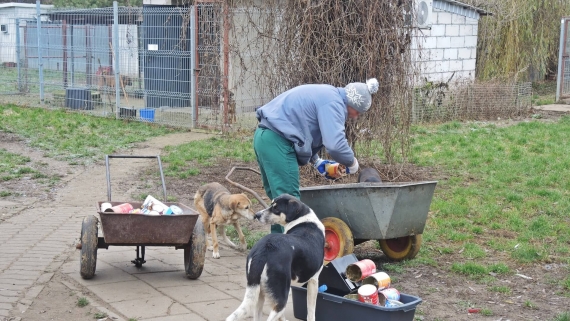 Więźniowie pomogli przygotować łomżyńskie schronisko do zimy, 21.11.2025, fot. Adam Dąbrowski