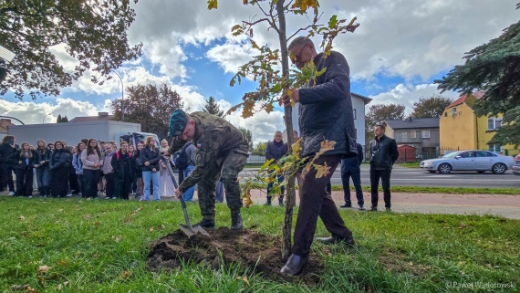 600 dębów na 600-lecie nadania praw miejskich Kolna, 10.10.2025, fot. Paweł Wądołowski