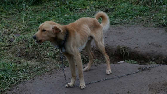 Źródło: KMP Suwałki