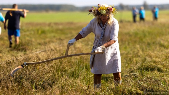 Mistrzostwa Świata w Koszeniu Bagiennych Łąk, 20.09.2025, fot. Paweł Wądołowski