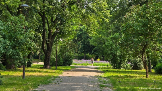 Park im. Jakuba Wagi w Łomży, fot. Paweł Wądołowski