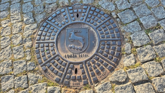 fot. Adam Dąbrowski