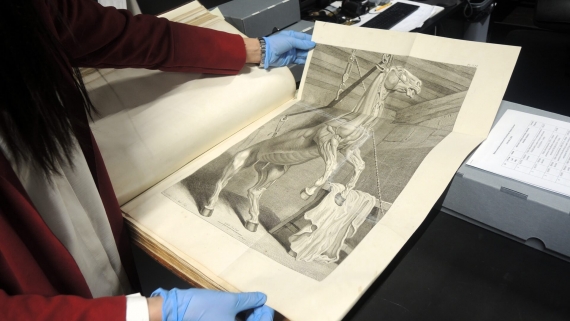 Cenne starodruki trafiły do Muzeum Rolnictwa w Ciechanowcu, 6.12.2025, fot. Adam Dąbrowski