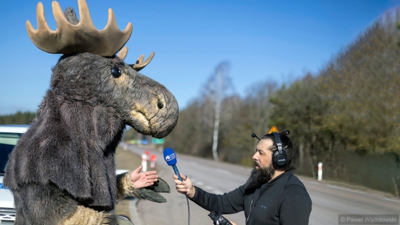 Akcja "Jedź ŁOŚtrożnie", 19.03.2025, fot. Paweł Wądołowski