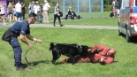 Piknik Militarny "Wojsko na swojsko" w Łomży, 15.08.2025, fot. Adam Dąbrowski