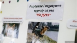 Dzień Kundelka w Łomży, 18.10.2025, fot. Paweł Wądołowski