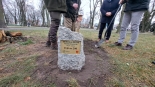 Trzy dęby posadzono w Augustowie z okazji 200-lecia Nadleśnictwa Augustów, 9.12.2024, fot. Iza Kosakowska
