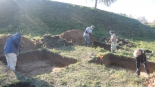 Badania archeologiczne na Górze Królowej Bony będą prowadzone, fot. Adam Dąbrowski