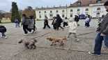 Spacer dla zdrowia w Białymstoku, 26.10.2025, fot. Renata Reda
