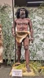 Model rekonstrukcji człowieka wyprostowanego - Homo erectus, fot. Ryszard Minko
