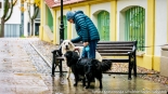 "Parada Adopciaków" w Białymstoku, 18.10.2025, fot. Sylwia Krassowska
