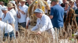 XXIII Podlaskie Święto Chleba w Ciechanowcu, 10.08.2025, fot. Barbara Sokolińska