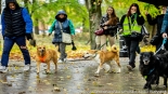 "Parada Adopciaków" w Białymstoku, 18.10.2025, fot. Sylwia Krassowska