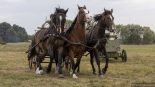 Rekonstrukcja walk polsko-bolszewickich z 1920 roku w Wincencie, 15.09.2024, fot. Paweł Wądołowski