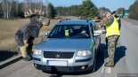 Akcja "Jedź ŁOŚtrożnie", 19.03.2025, fot. Paweł Wądołowski